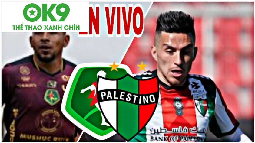 So sánh Mushuc Runa vs Palestino: Sự cân bằng không ngờ - zaveho So sánh Mushuc Runa vs Palestino: Sự cân bằng không ngờ - zaveho