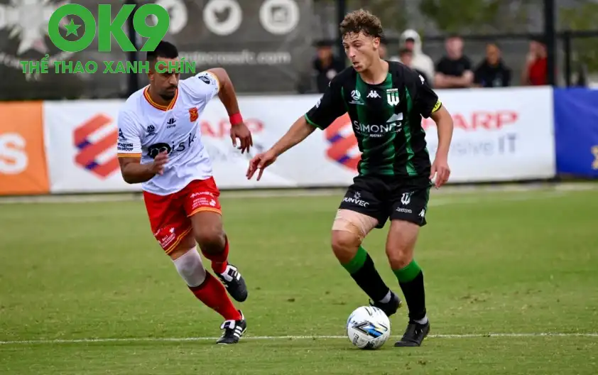 Phân tích trận đấu Preston Lions và Port Melbourne Sharks: Dự báo kết quả bất ngờ - zaveho