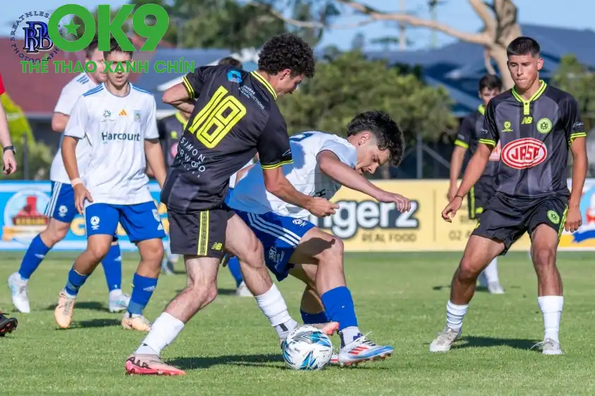 Đánh giá Trận Đấu Giữa Charlestown Azzurri và Cooks Hill: Dự Đoán Kết Cục Bất Ngờ - zaveho