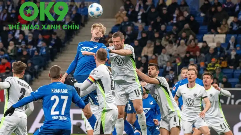 OK9 Soi Kèo: Nhận định Hoffenheim vs Wolfsburg: Điểm tựa sân nhà, khuất phục Bầy sói - zaveho