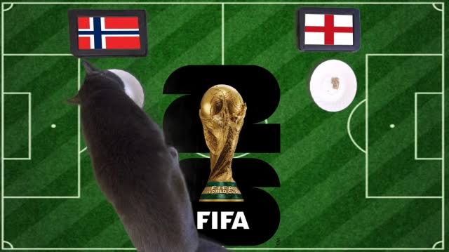 OK9 - Mèo tiên tri dự đoán Na Uy vs Anh: Địa chấn World Cup 2026 - zaveho